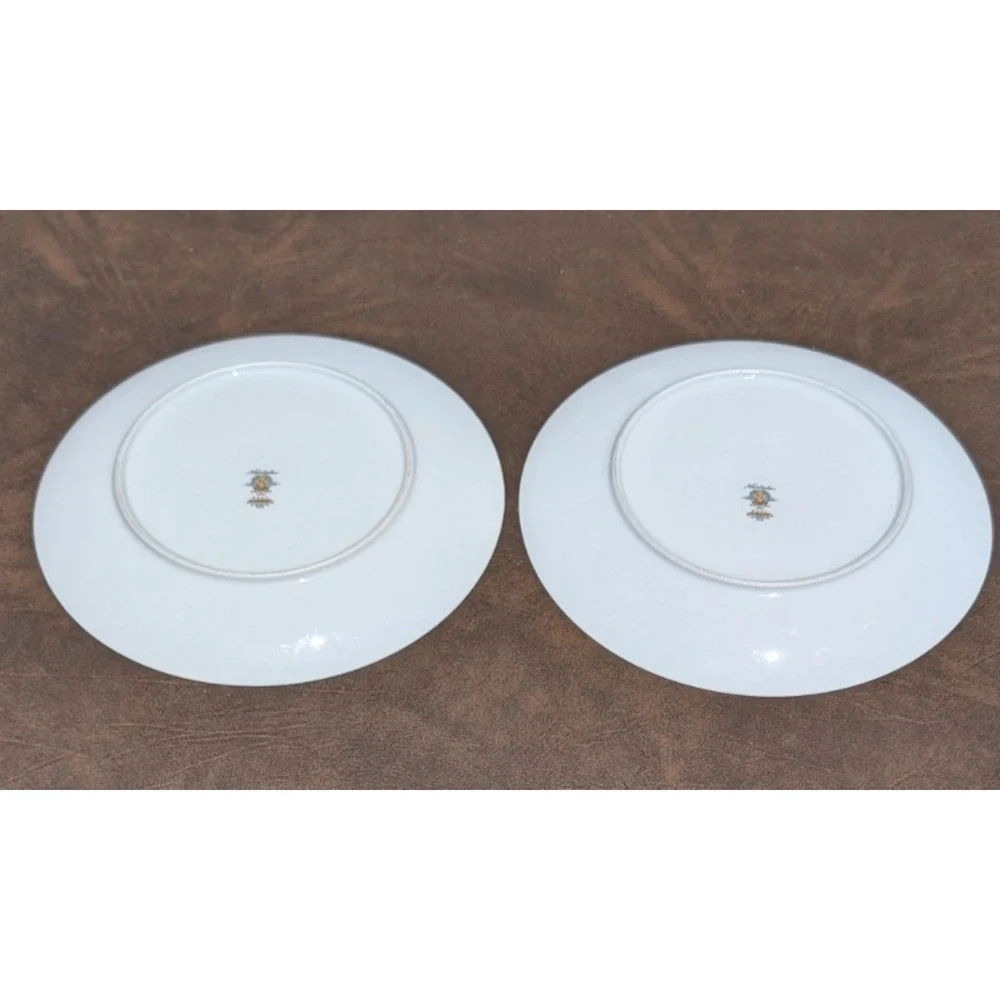 Noritake Simone 6407 Set of 2 Dinner Plates 10.5